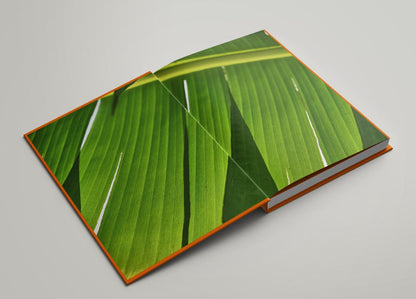 Diez Cocinas Vol. 2: Las recetas secretas de los restaurantes clásicos de Colombia